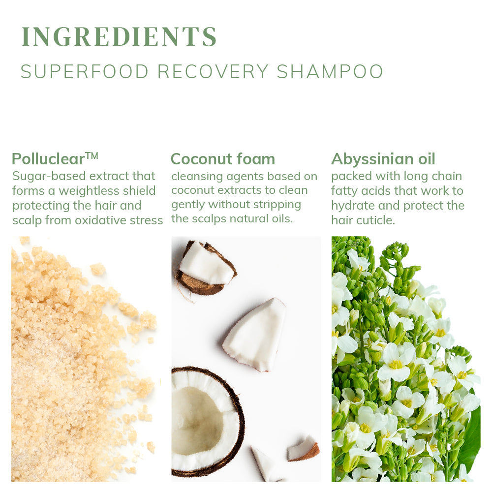 預訂3星期 abyssian Superfood Recovery Shampoo 專利抗污染豐盈洗髮水 250ml